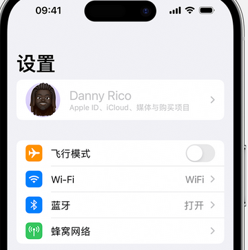 陇县appleID维修服务iPhone设置中Apple ID显示为灰色无法使用 