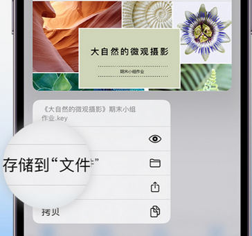 陇县apple维修中心分享iPhone文件应用中存储和找到下载文件