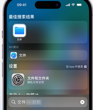 陇县apple维修中心分享iPhone文件应用中存储和找到下载文件 