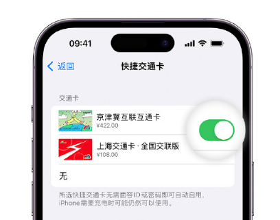 陇县apple维修点分享iPhone上更换Apple Pay快捷交通卡手绘卡面 