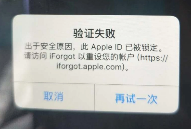 陇县iPhone维修分享iPhone上正常登录或使用AppleID怎么办 