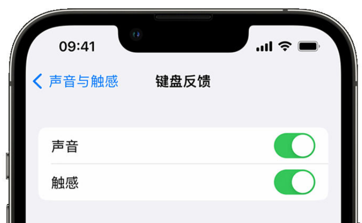 陇县苹果手机维修分享iPhone 14触感键盘使用方法 