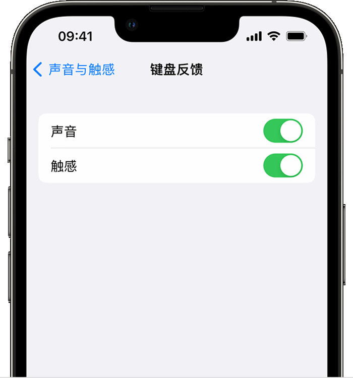 陇县苹果14维修店分享如何在 iPhone 14 机型中使用触感键盘 