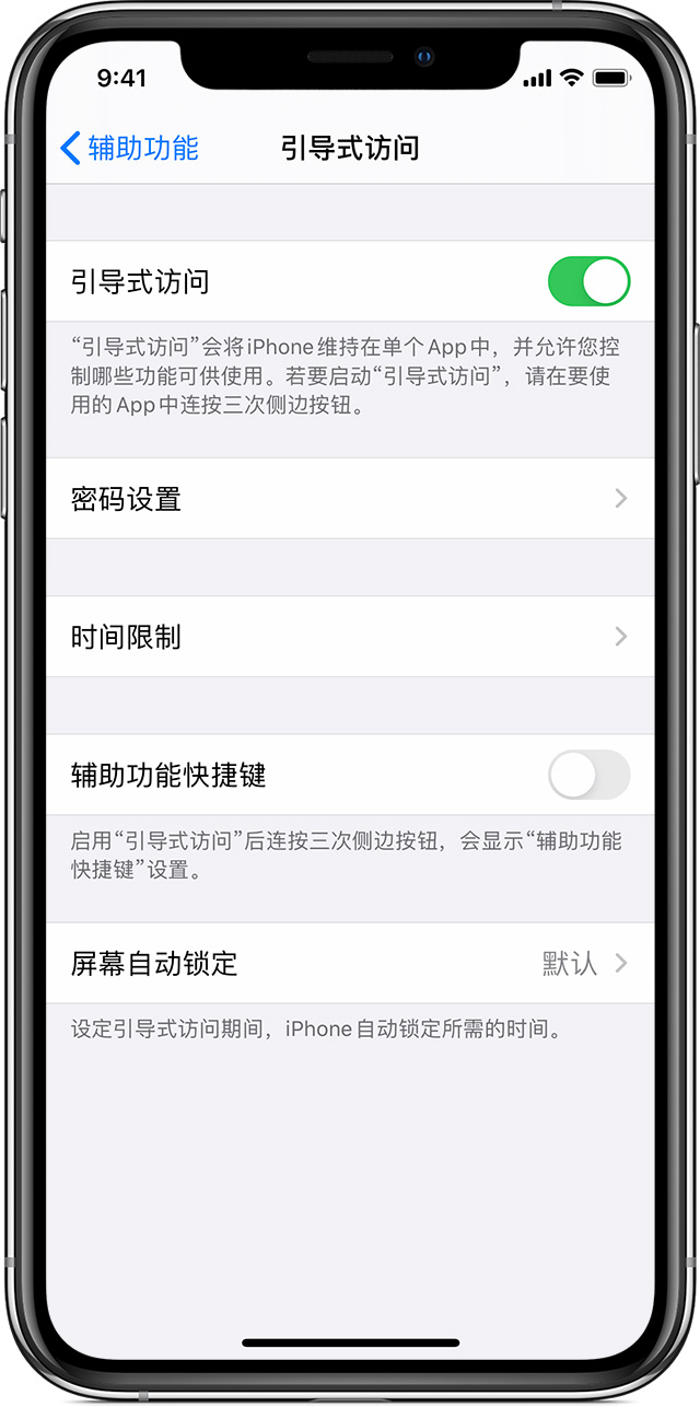 陇县苹果手机维修分享如何在 iPhone 上退出引导式访问 