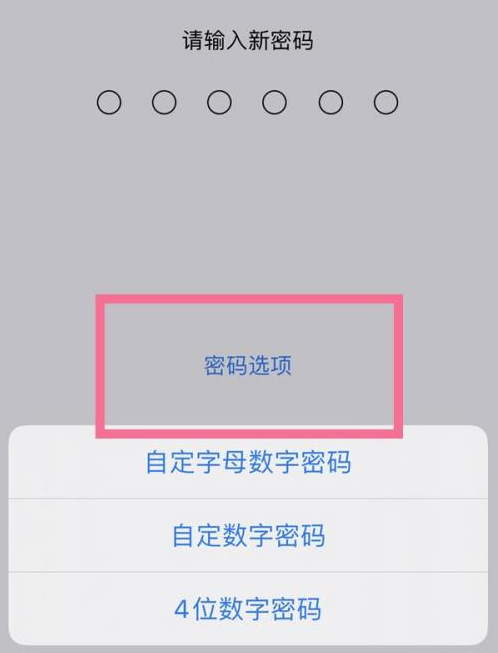 陇县苹果14维修分享iPhone 14plus设置密码的方法 