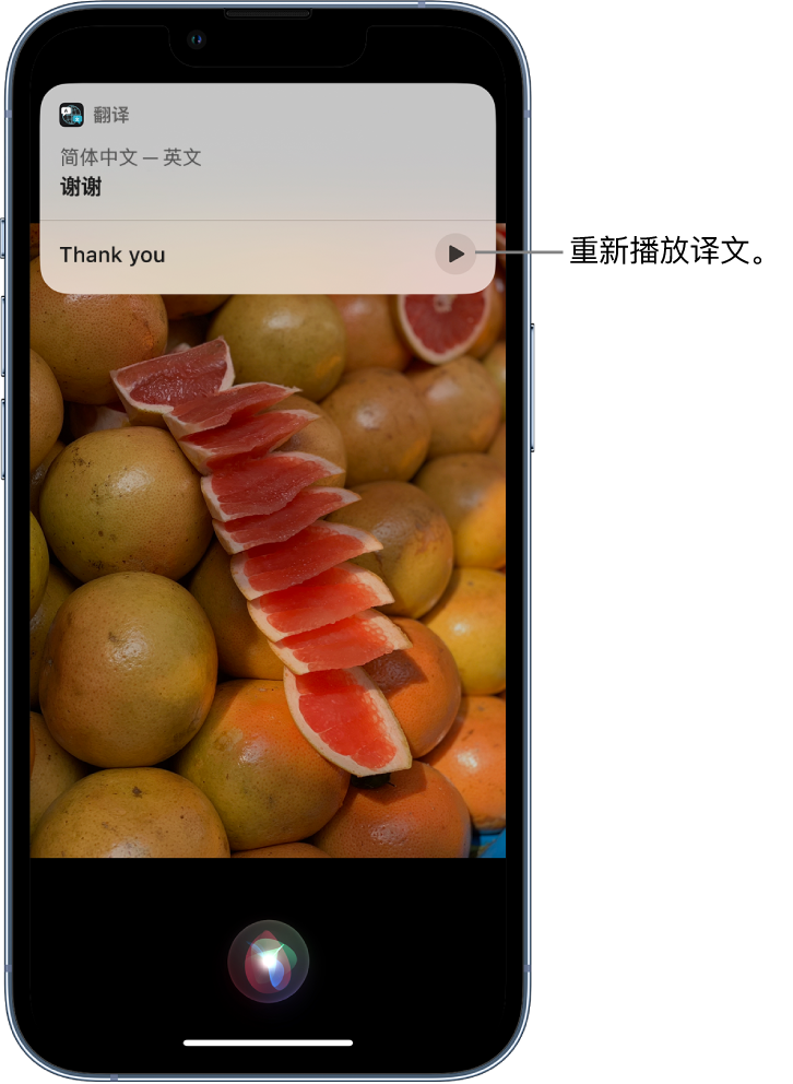 陇县苹果14维修分享 iPhone 14 机型中使用 Siri：了解 Siri 能帮你做什么 