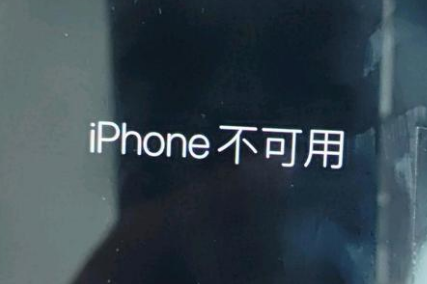 陇县苹果服务网点分享锁屏界面显示“iPhone 不可用”如何解决 