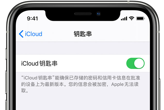 陇县苹果手机维修分享在 iPhone 上开启 iCloud 钥匙串之后会储存哪些信息 