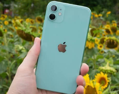 陇县苹果维修点分享iPhone 11锁屏密码认知与使用科普 